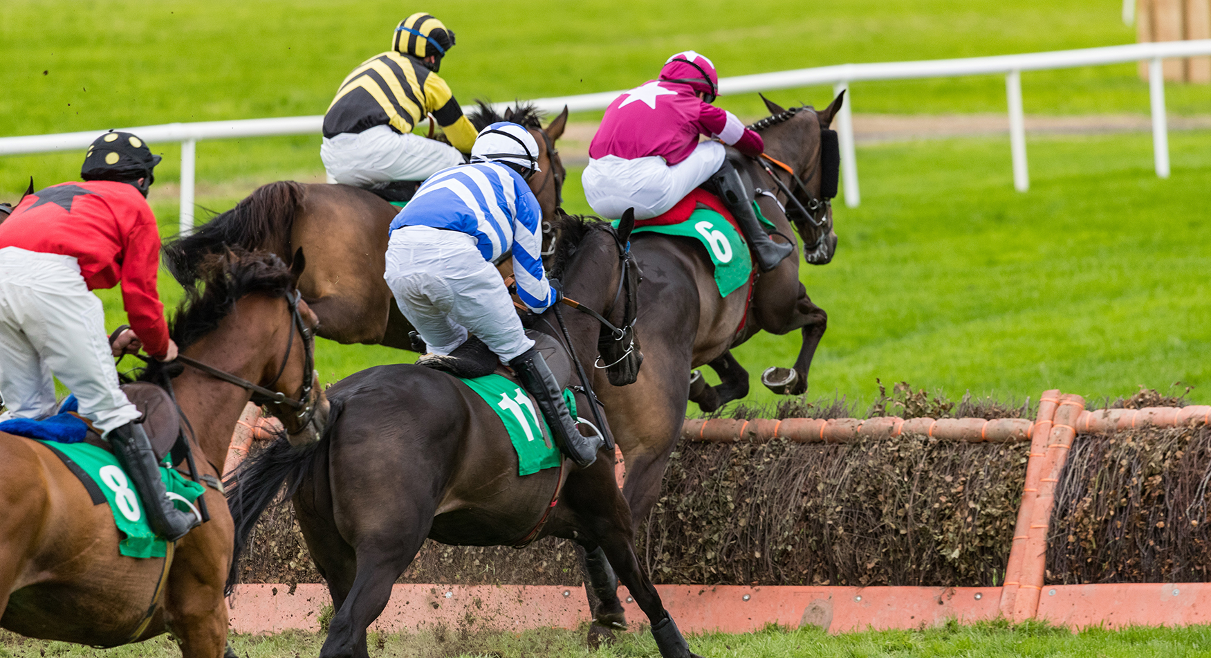 Racetrack Stated Benefits Suite - A Case Management System designed to manage racetrack members and their families Racetrack Stated Benefits Suite - A Case Management System designed to manage racetrack members and their families